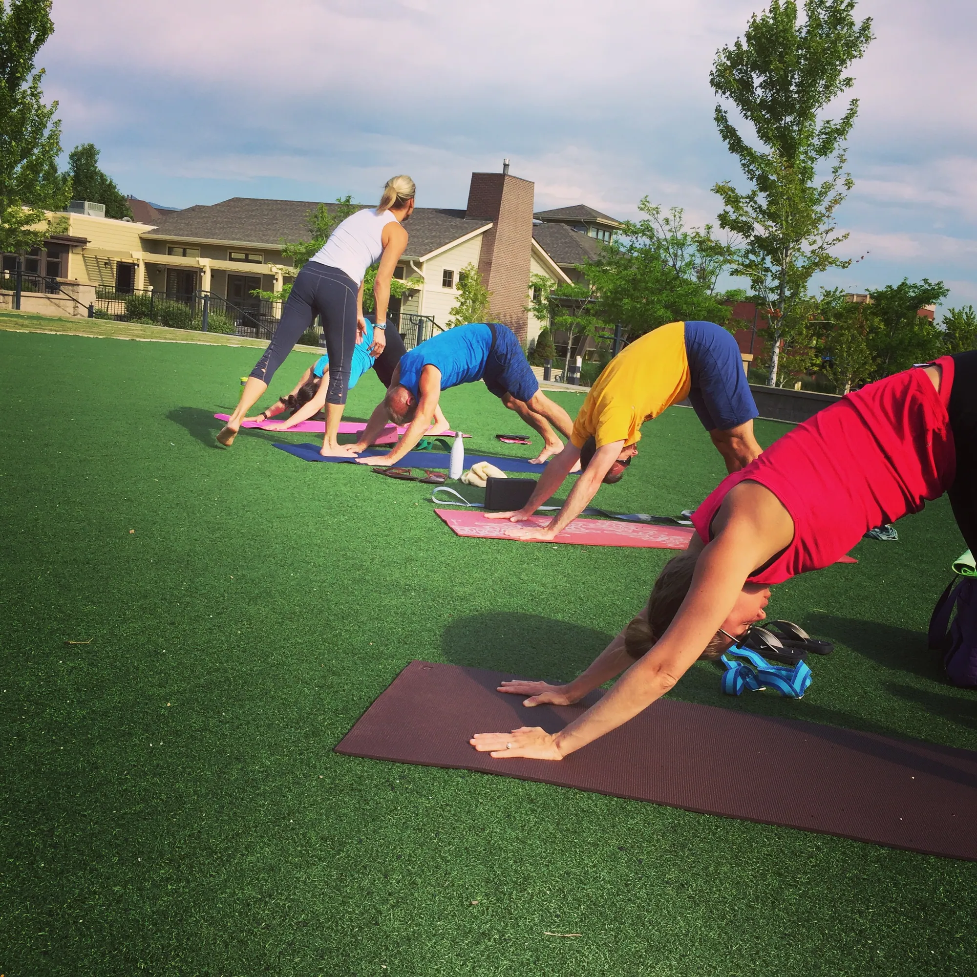 Yoga class in downward dog on a grass lawn in a park