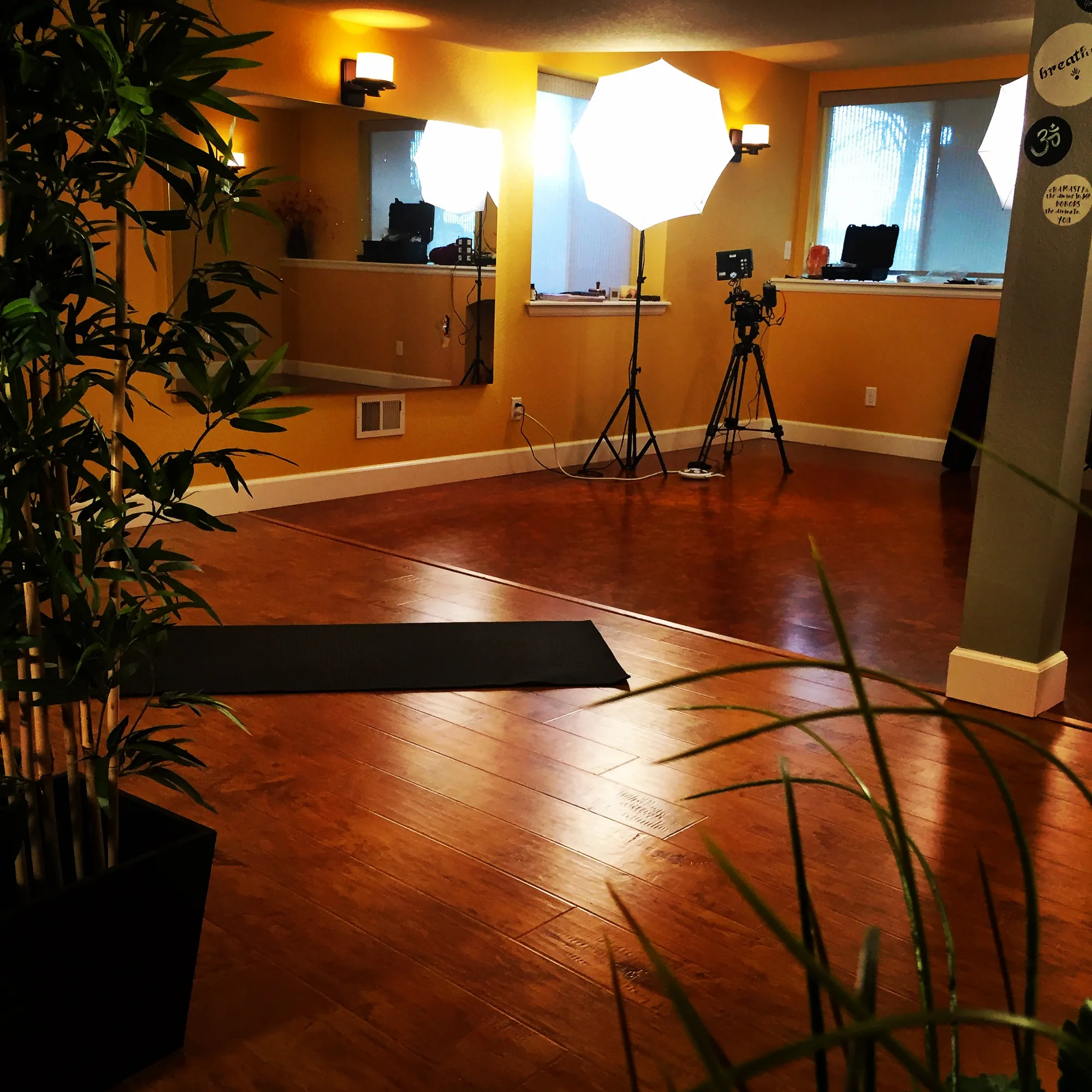 Yoga studio set up for filming with a camera on a tripod, softbox light and a mat