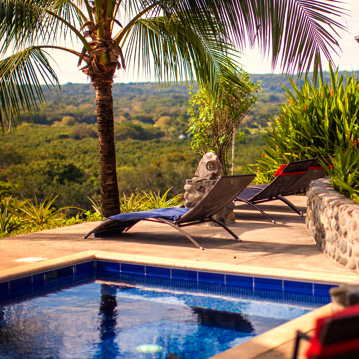 Costa Rica Yoga Retreats with Five Parks Yoga in Nosara