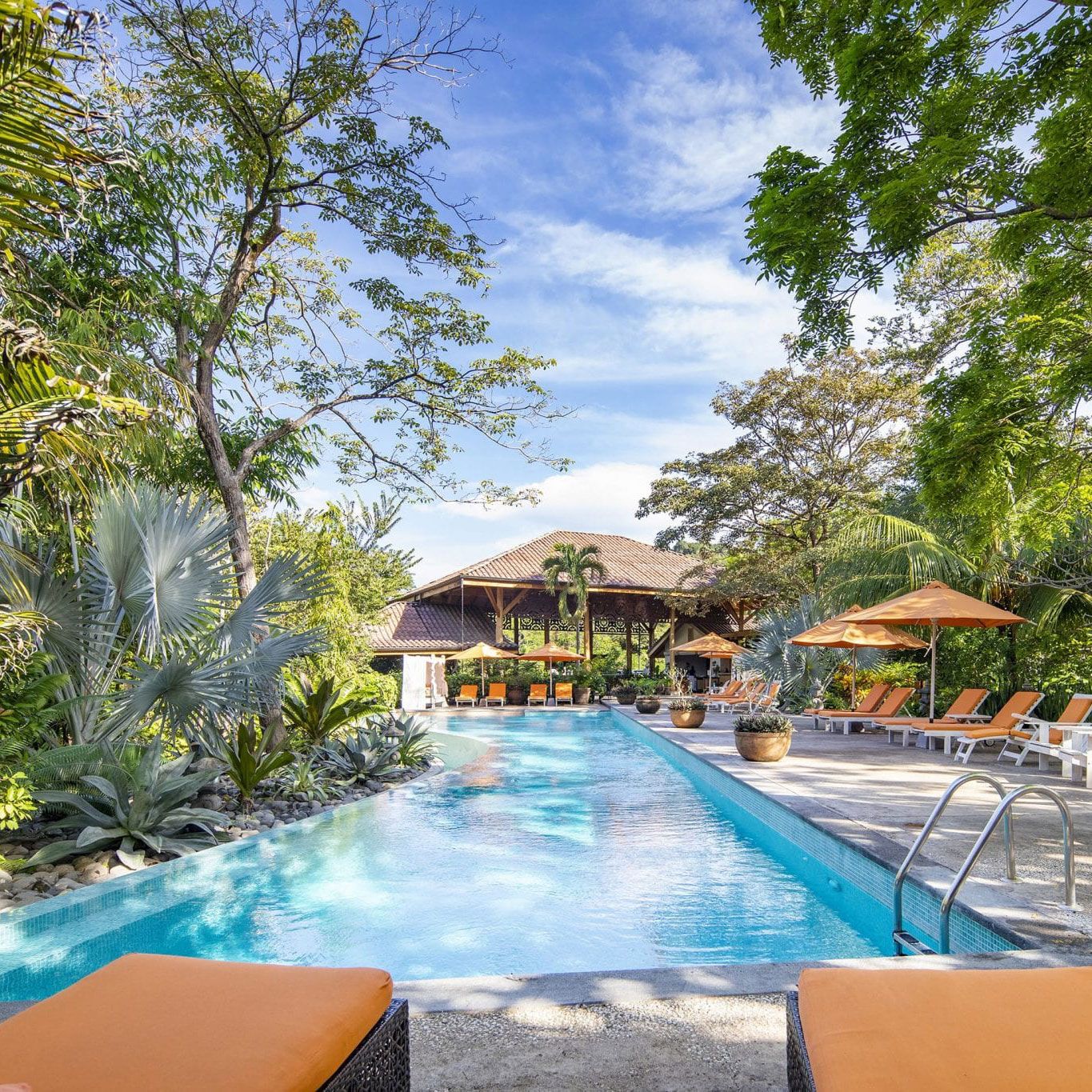 Costa Rica Yoga Retreats With Five Parks Yoga In Nosara