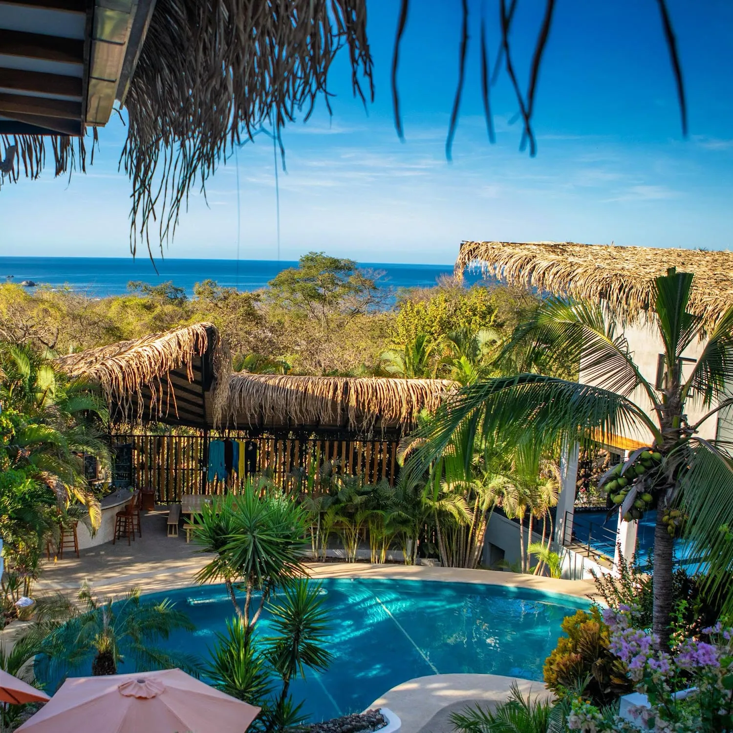 Pool and thatched palapa viewed from above at a Nosara retreat