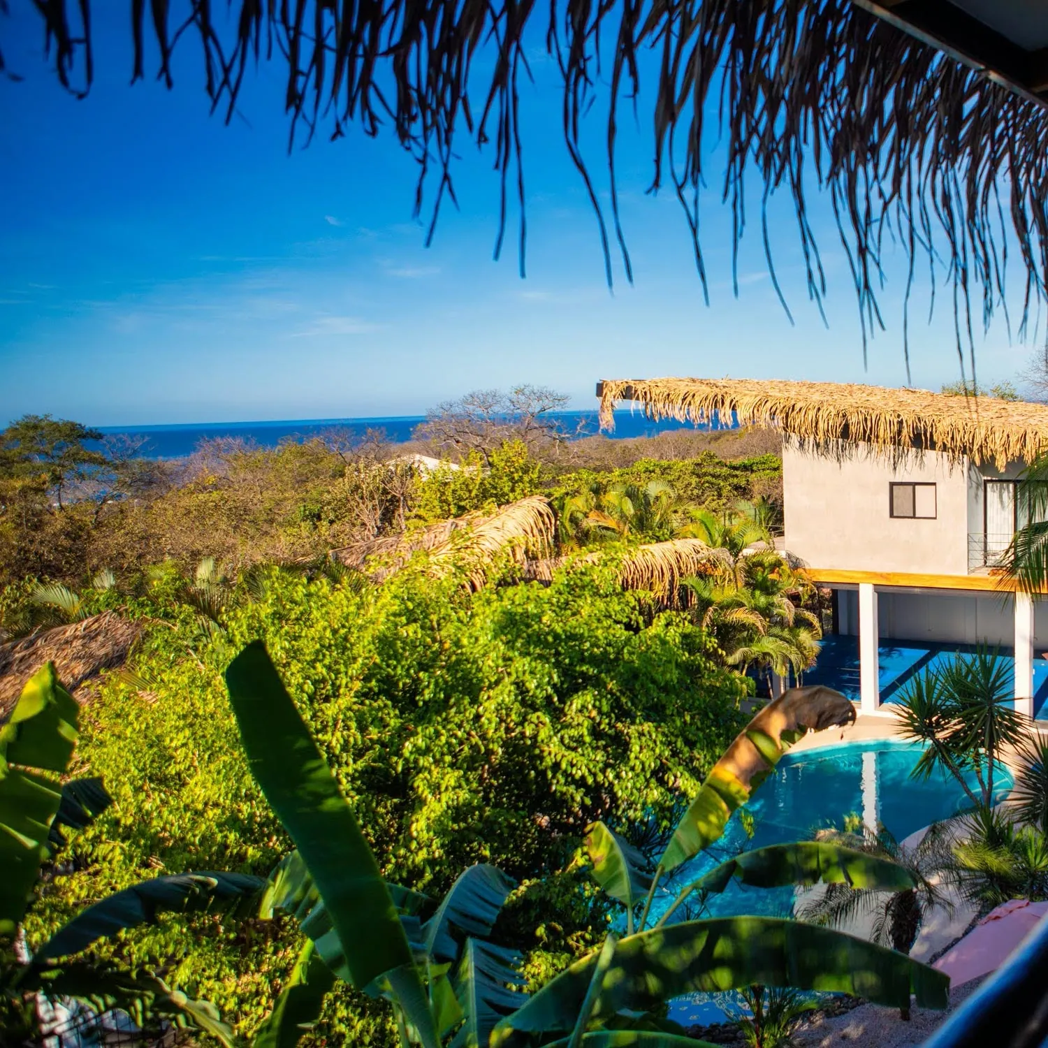 Ocean view over jungle treetops and the pool at Casas Kismet, Nosara, Costa Rica