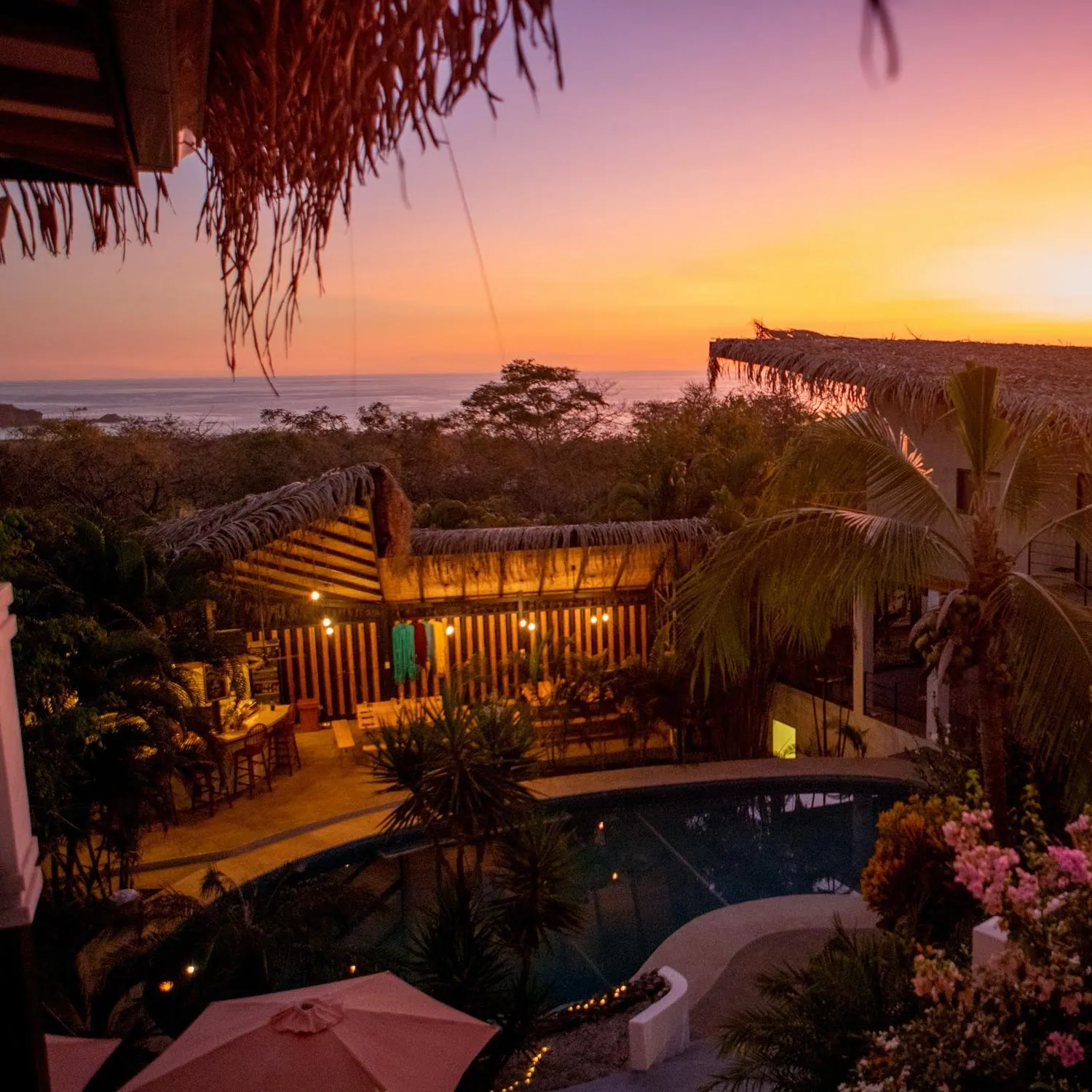 Sunset over a pool and thatched palapa through palm trees