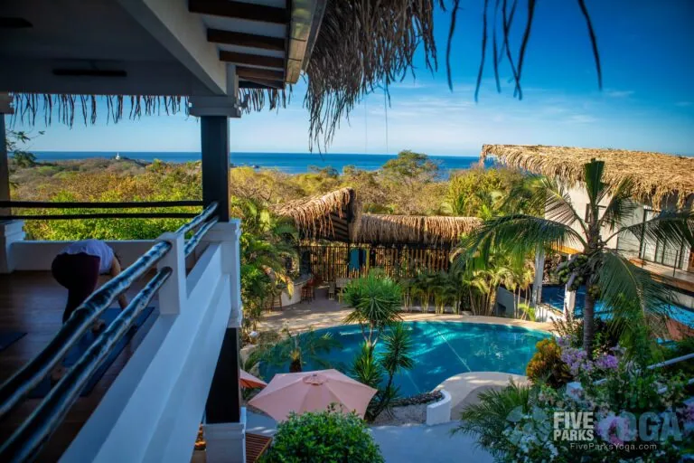 Pool and ocean view from a thatched-roof balcony