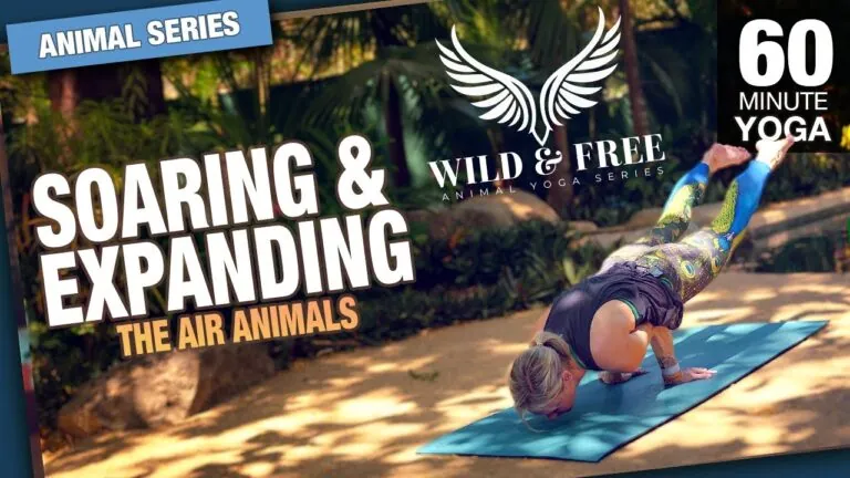 Yoga Teacher Training When You're Not Sure You Want to Teach, Erin Sampson, Five Parks Yoga