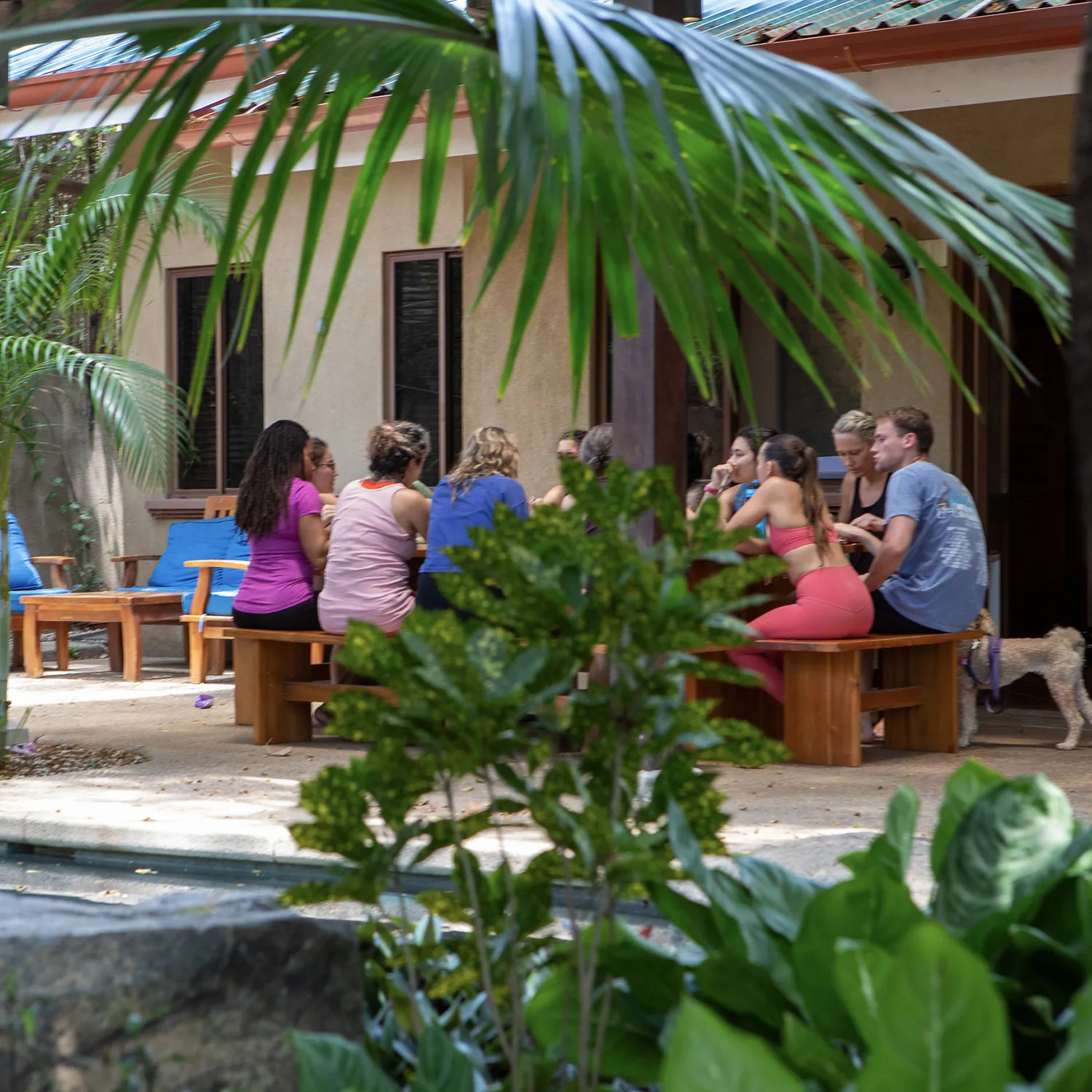Students sitting in a circle on benches in a garden courtyard