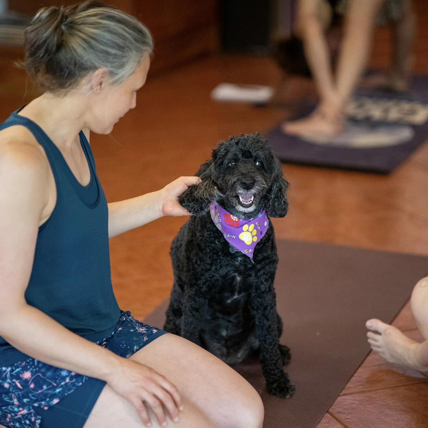 Woman petting a black poodle in a purple bandana during yoga class